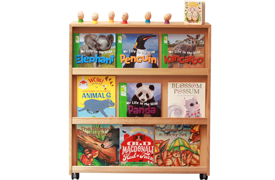 Sloping Bookshelf - Early Childhood Furniture | Preschool ...